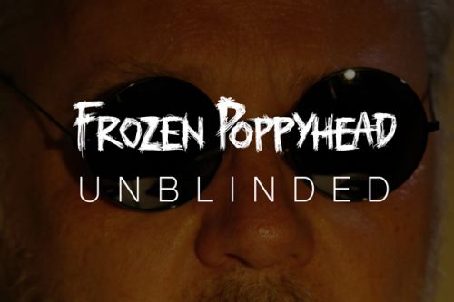Alternativní Frozen Poppyhead se po necelém měsíci znovu ozývají s novým singlem!