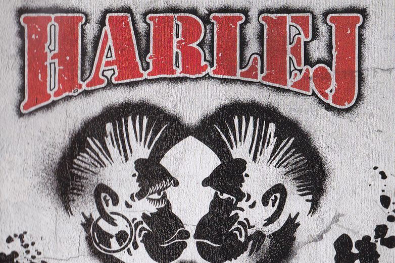 Harlej tvrd&iacute;, že Hodn&yacute; holky zl&yacute; kluky chtěj