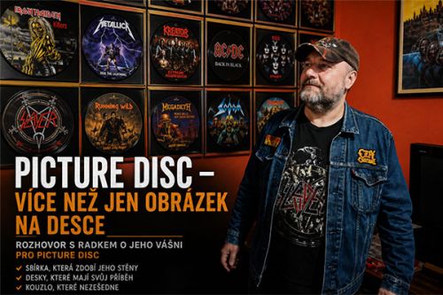 Radek Havl&iacute;n - PICTURE VINYL: KDYŽ SE Z DESKY ST&Aacute;V&Aacute; SBĚRATELSK&Yacute; OBJEKT