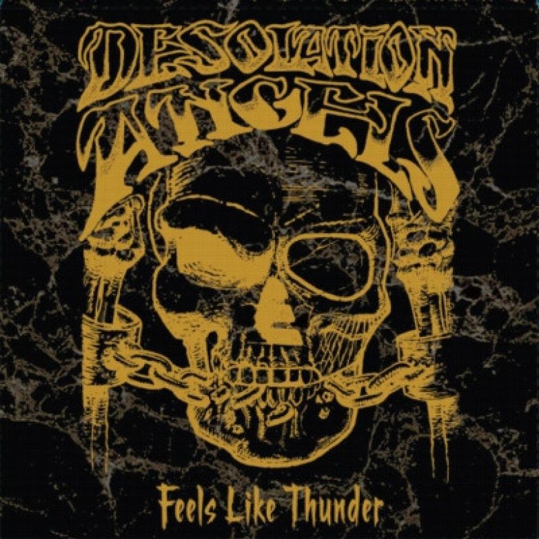 Desolation Angels &ndash; Feels Like Thunder 4box