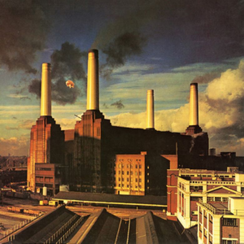 Pink Floyd - Animal