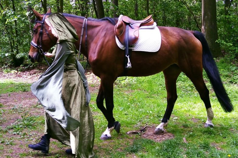 Melissa chyst&aacute; video