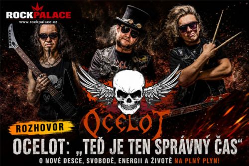 OCELOT: ROZSEK&Aacute;ME V&Scaron;ECHNO NA SRAČKU!